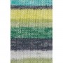 Gruendl Hot Socks Madena 4-fach цвет 02 neptun-color-mix